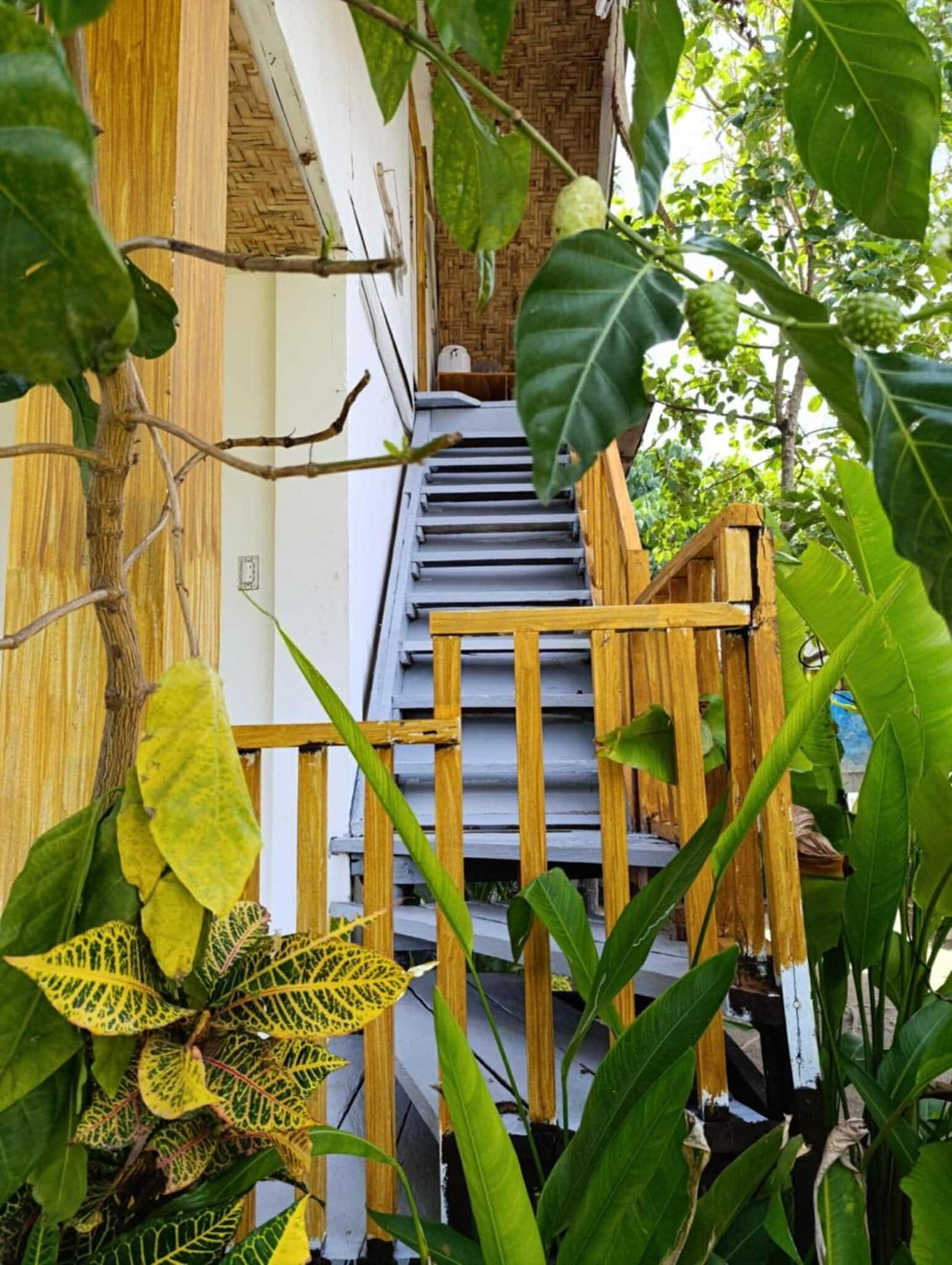 Helmina'S Villas เจเนอรัลลูนา ภายนอก รูปภาพ